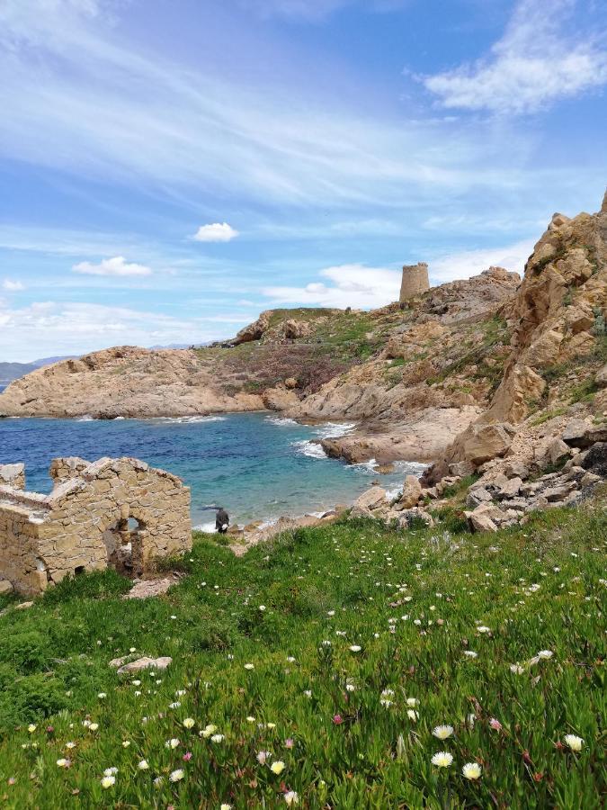Joli Appartement En Corse Avec Piscine Бельгодер Экстерьер фото